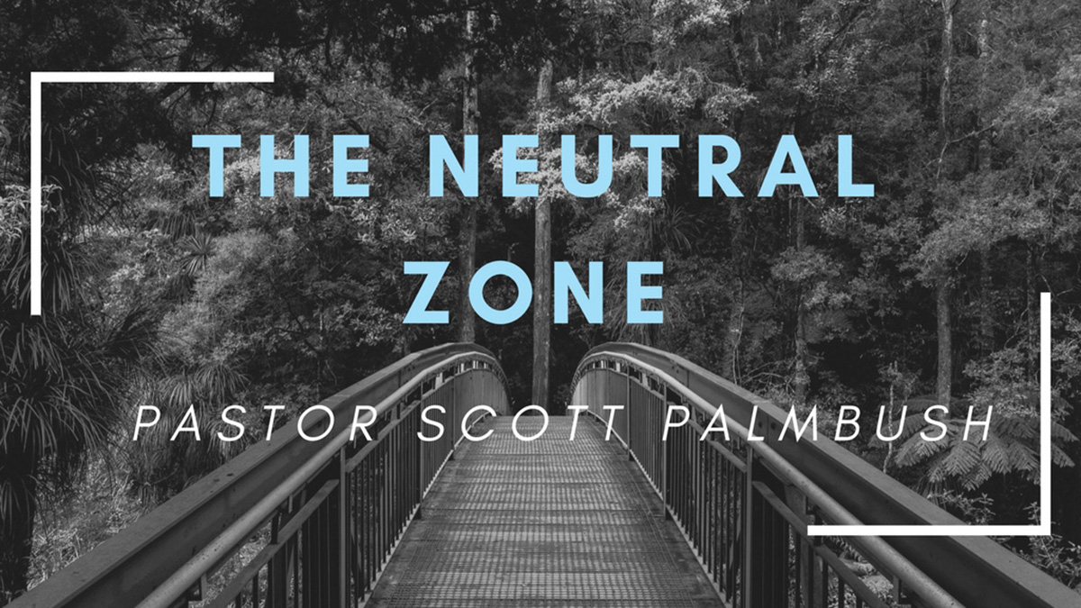 The Neutral Zone Image